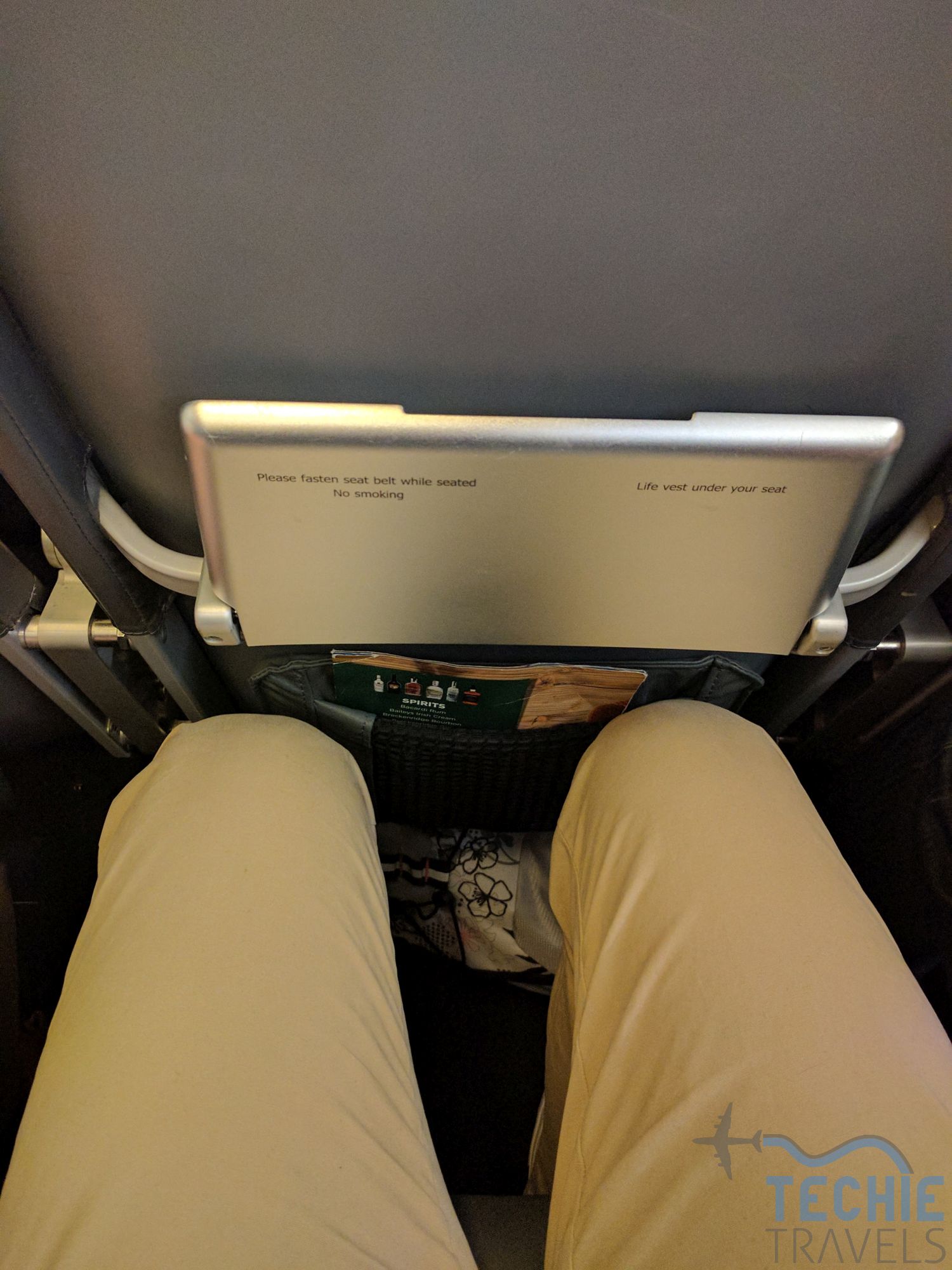 Frontier Airlines A319 Economy Class St Louis to Phoenix TechieTravels