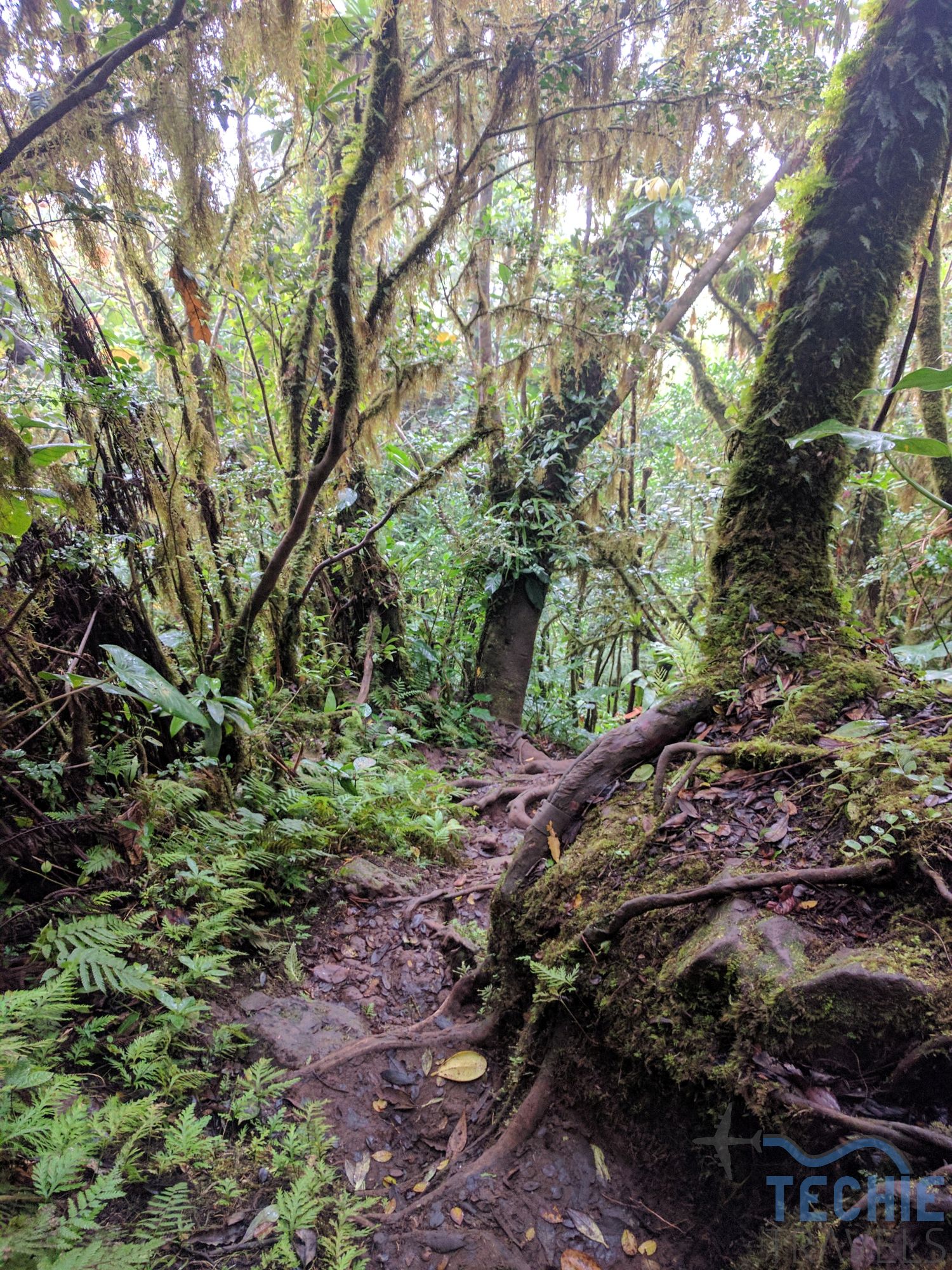 Nevis Peak Hike | TechieTravels